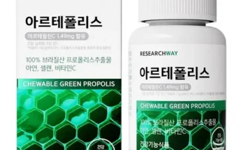 득템 gncpropolis2500 기념일