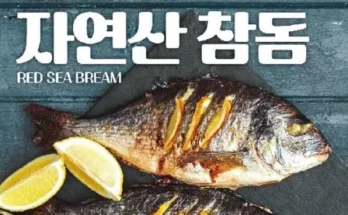 오늘의추천 국내산자연산반건조참돔400g6마리 기념일